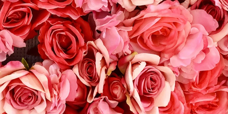 Athena Rose OnlyFans @athena_rosee review (Leaks, Videos, Nudes)