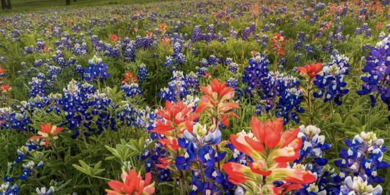 Average Soccer Mom OnlyFans @averagesoccermom review (Leaks, Videos, Nudes)