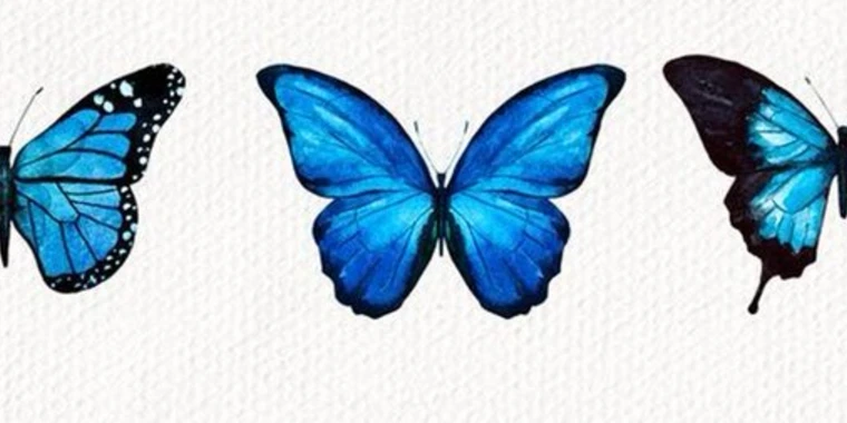 Tay OnlyFans | @bigbootytay0 review (Leaks, Videos, Nudes)