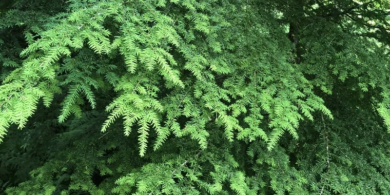 Bunny OnlyFans | @bunnybbyxxx review (Leaks, Videos, Nudes)