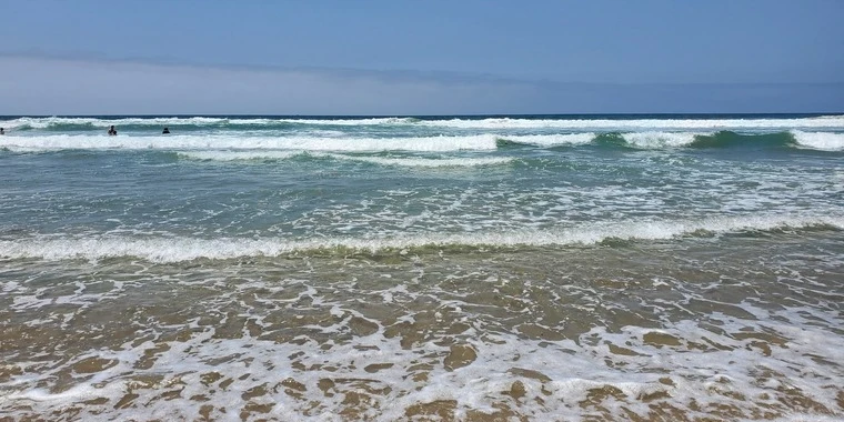 Vee OnlyFans | @dinogirlvee review (Leaks, Videos, Nudes)