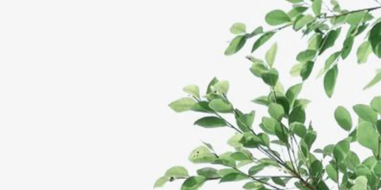 Your Envy OnlyFans | @envyenby review (Leaks, Videos, Nudes)