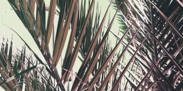 creator header picture