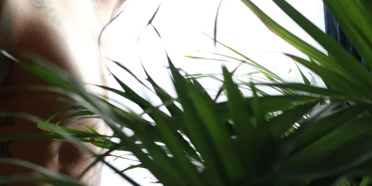 creator header picture