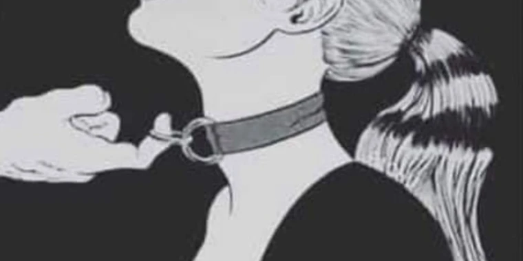 creator header picture
