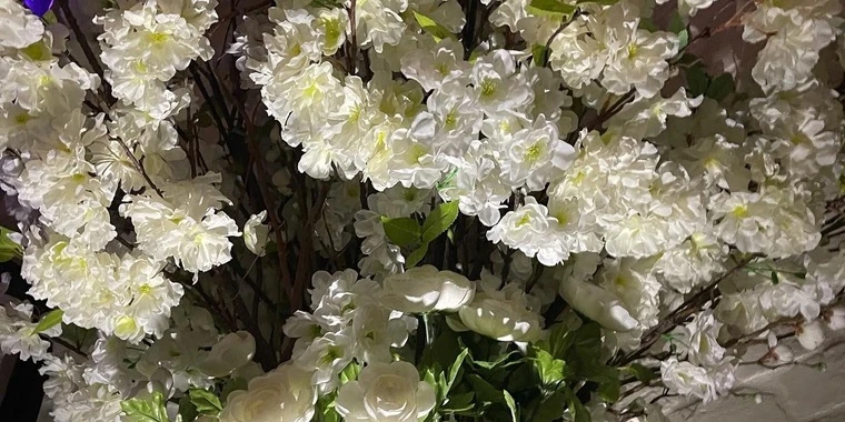creator header picture