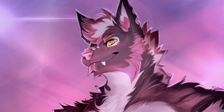 creator header picture