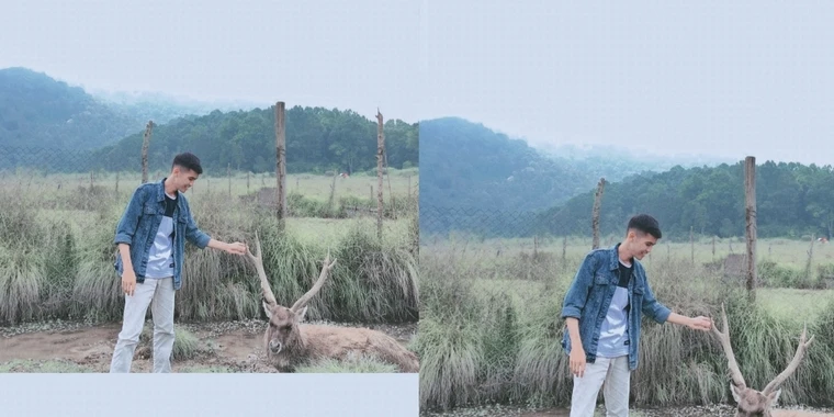 creator header picture