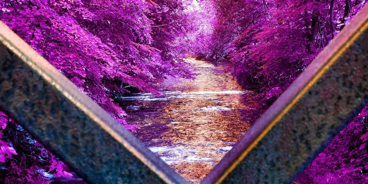 creator header picture