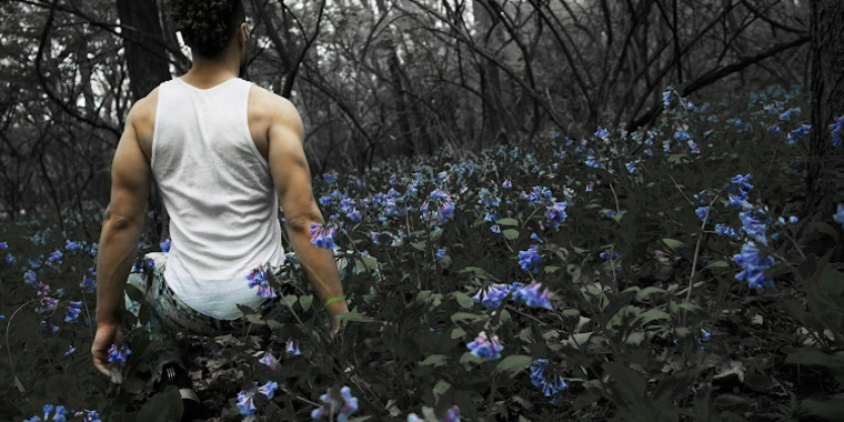creator header picture