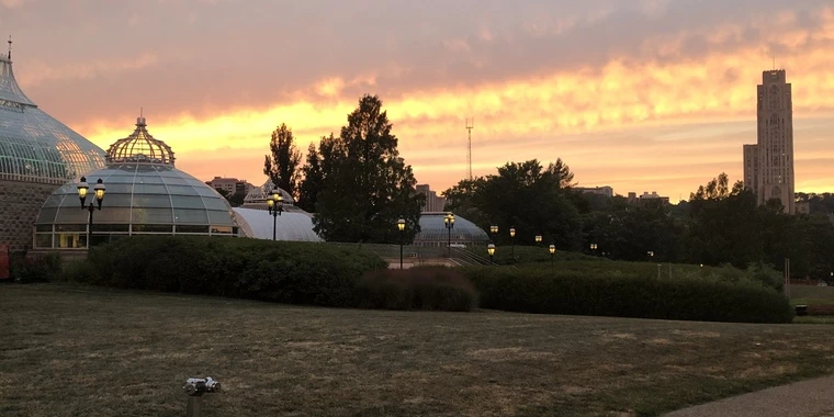 creator header picture
