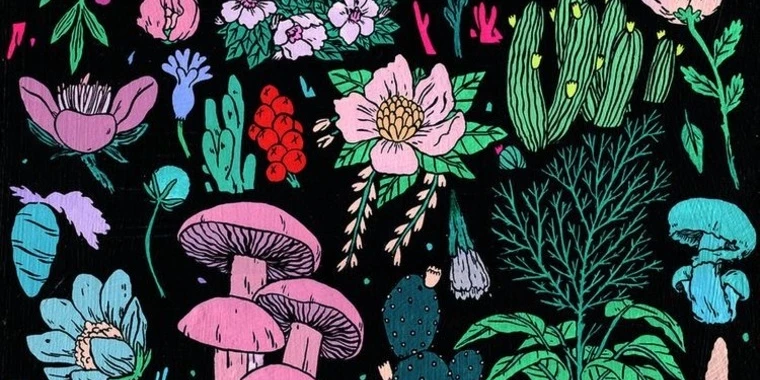 creator header picture
