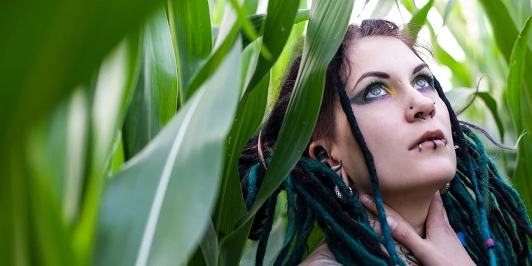 creator header picture