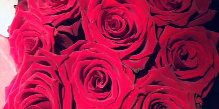 creator header picture