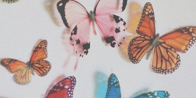 creator header picture