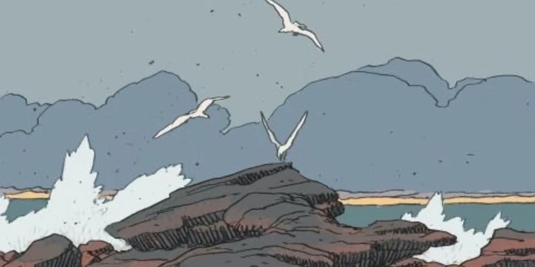 creator header picture