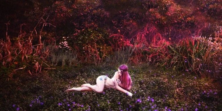 creator header picture