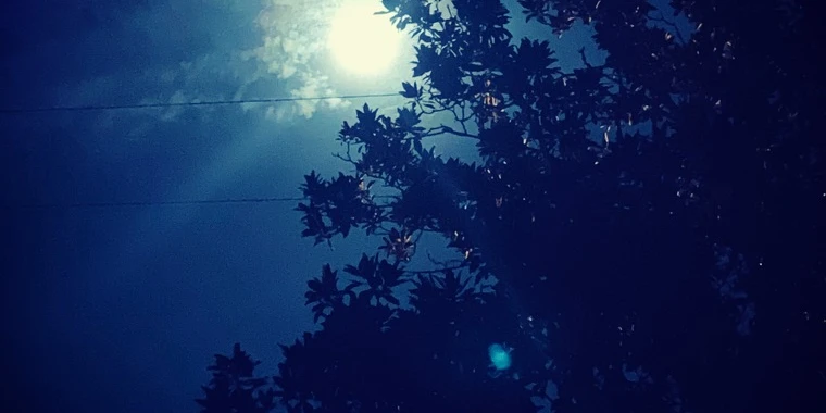 creator header picture