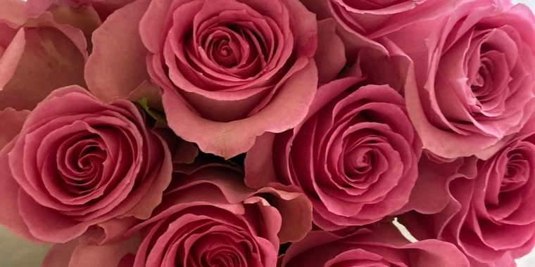 creator header picture