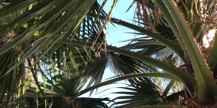 creator header picture