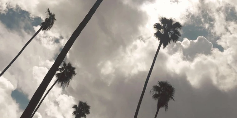 creator header picture