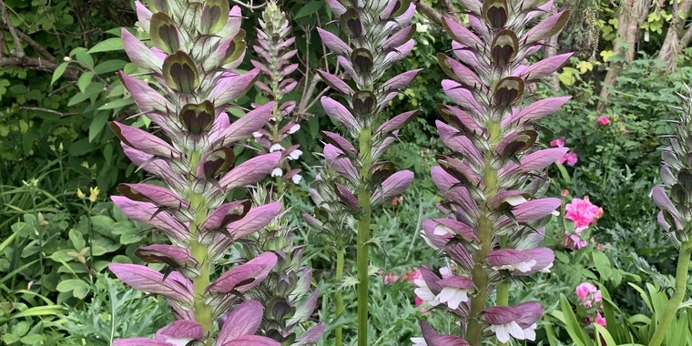 creator header picture