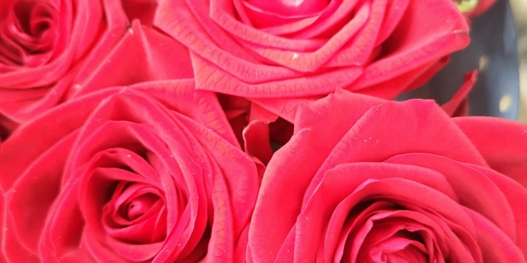 creator header picture