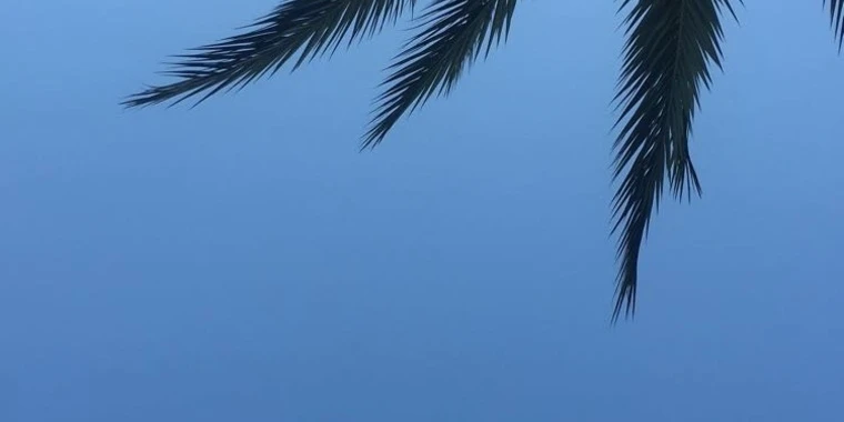 creator header picture