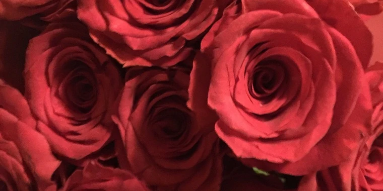 creator header picture