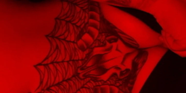 creator header picture