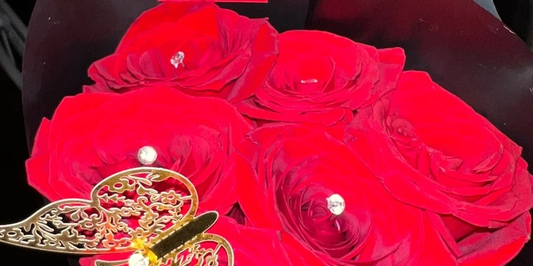 creator header picture