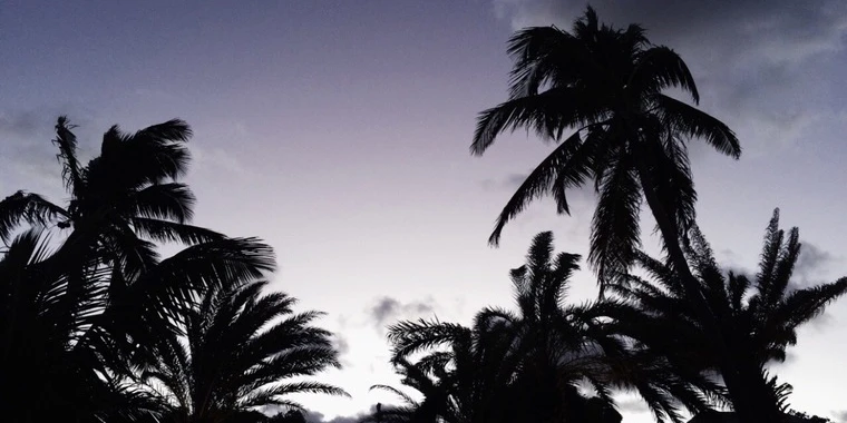 creator header picture