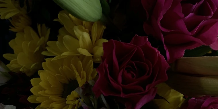 creator header picture