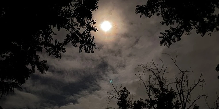 creator header picture