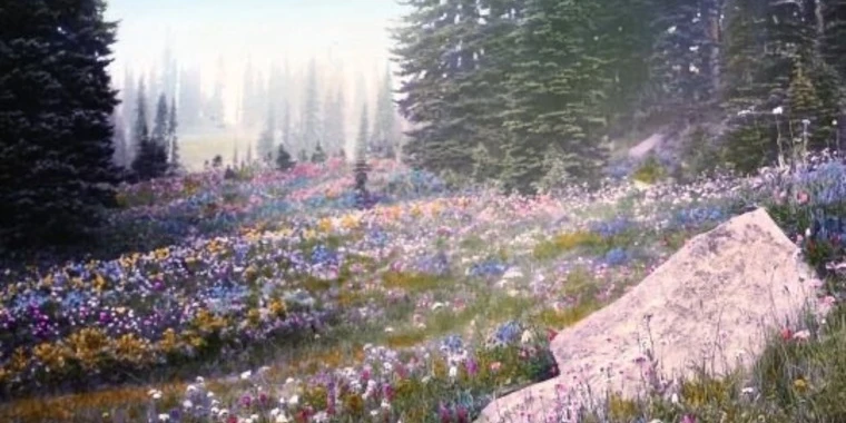creator header picture