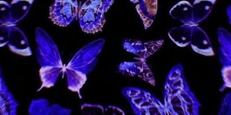 creator header picture