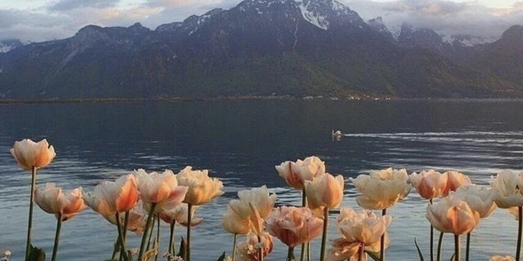creator header picture