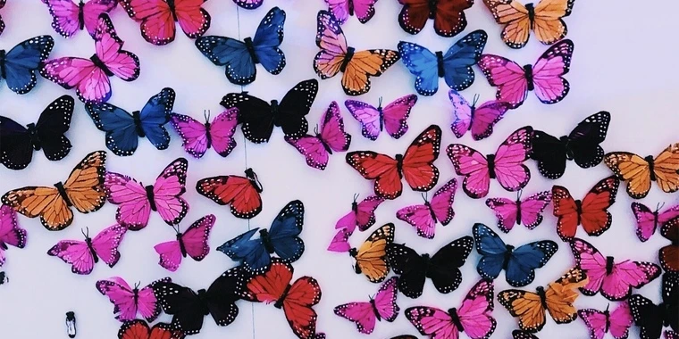 creator header picture