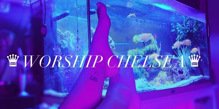 creator header picture