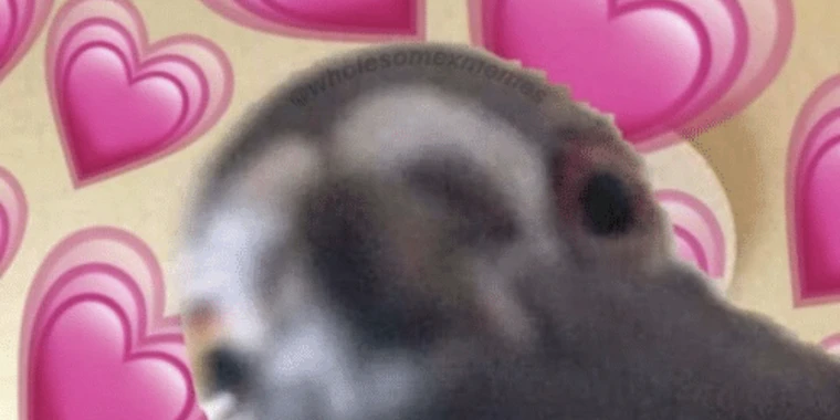 creator header picture