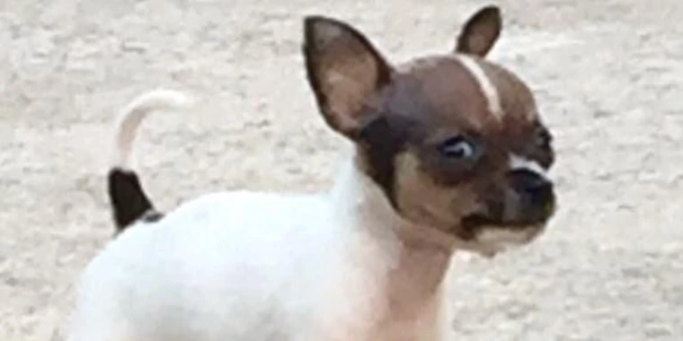 Jace Chambers OnlyFans @jacechambersxxx review (Leaks, Videos, Nudes)