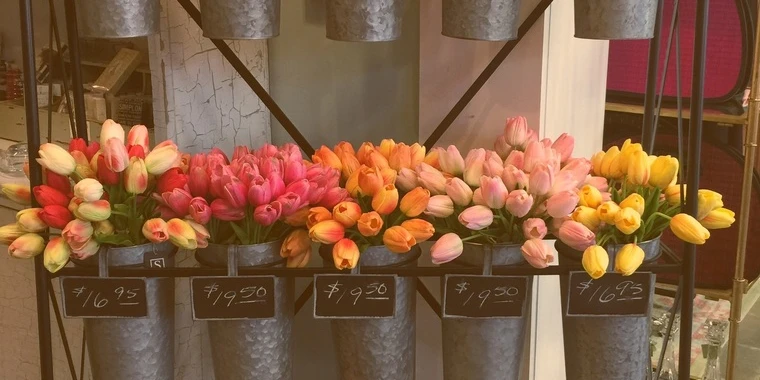 Delilah OnlyFans @lilah.rose review (Leaks, Videos, Nudes)