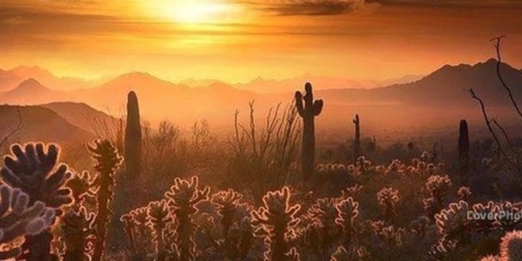 creator header picture