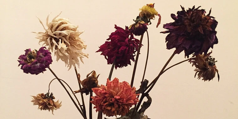 Makayla OnlyFans | @makaylashey review (Leaks, Videos, Nudes)