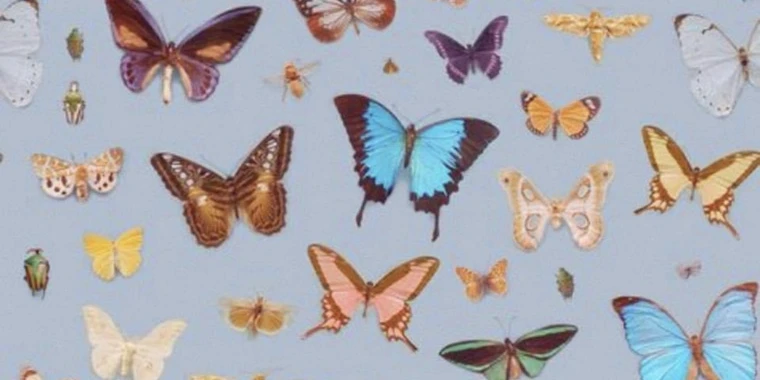 Mariposa_bonita OnlyFans | @mariposa_bonita review (Leaks, Videos, Nudes)