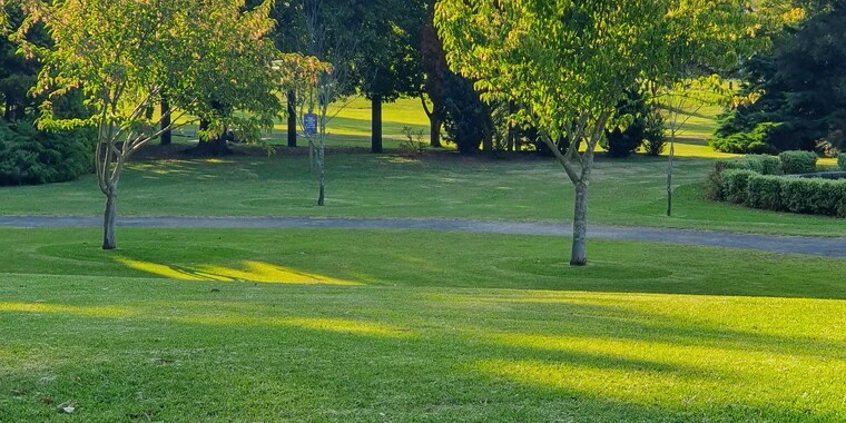 Matty OnlyFans | @matty_horndog review (Leaks, Videos, Nudes)