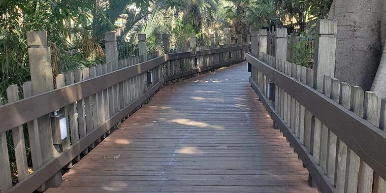 Meredith OnlyFans @meredith_doll review (Leaks, Videos, Nudes)