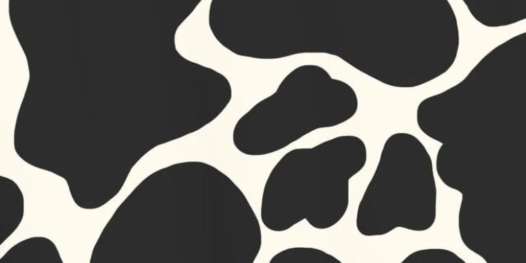 mikayla bandy OnlyFans | @mikaylaa.bandyy review (Leaks, Videos, Nudes)