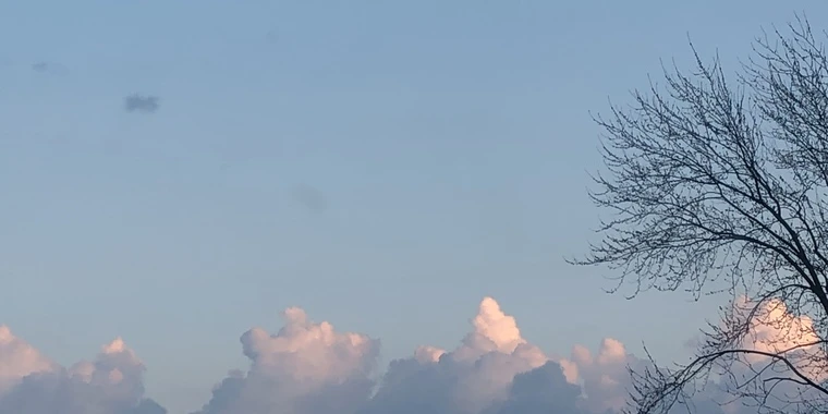 Buttercup OnlyFans | @princessbuttercup review (Leaks, Videos, Nudes)