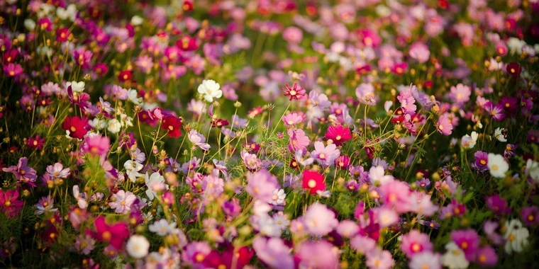 Savannahskye OnlyFans @savannah_skye review (Leaks, Videos, Nudes)